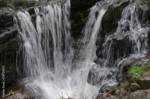 Fototapeta Naklejka Na Ścianę i Meble -  brecon forest waterfall woodland