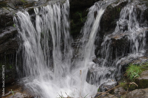 brecon forest waterfall woodland