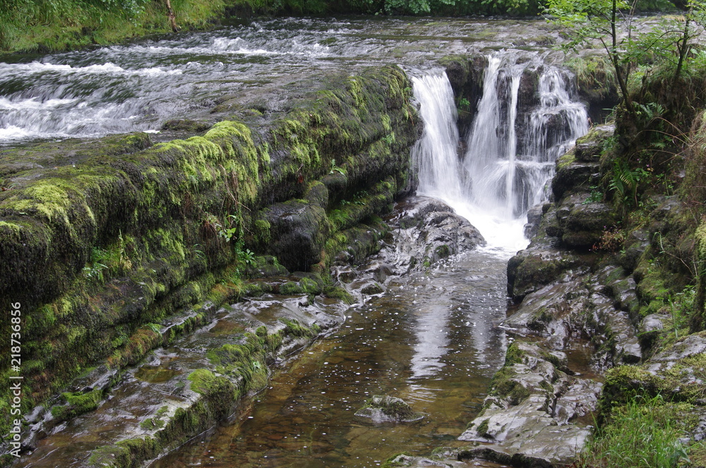 Fototapeta premium brecon forest waterfall woodland