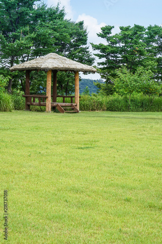 Green grass background © Kevin