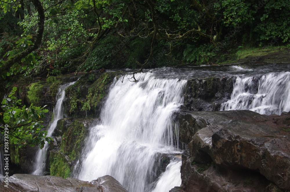 brecon forest waterfall woodland