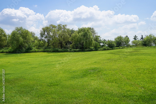 Fototapeta Naklejka Na Ścianę i Meble -  Green grass background