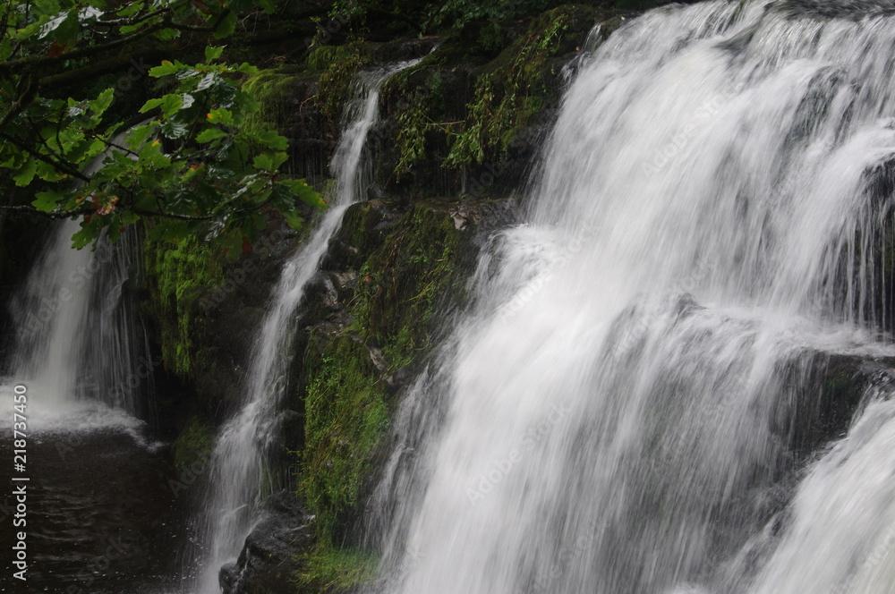 brecon forest waterfall woodland brecon forest waterfall woodland