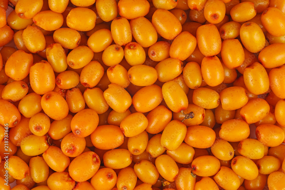 Food background: sea buckthorn berries