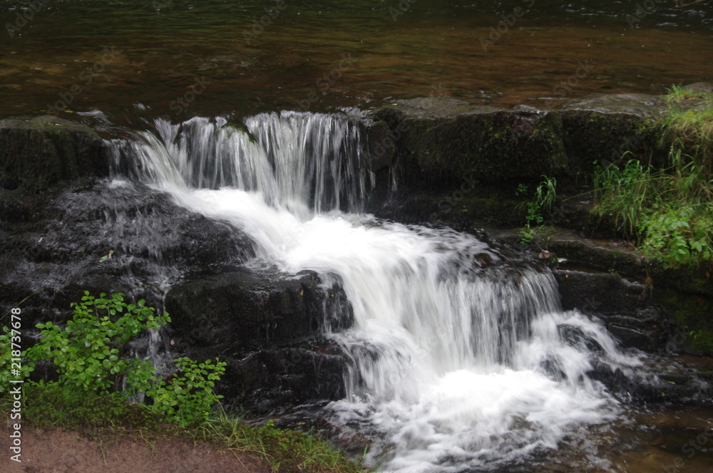 Fototapeta premium brecon forest waterfall woodland
