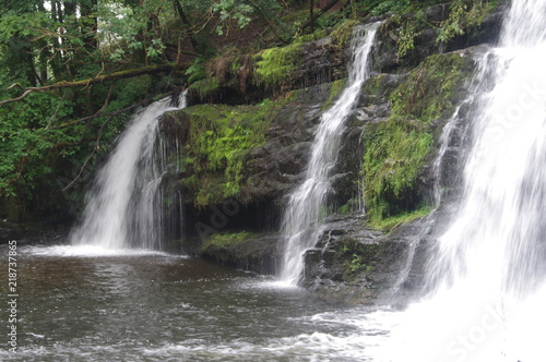 Fototapeta Naklejka Na Ścianę i Meble -  brecon beacons forest waterfalls