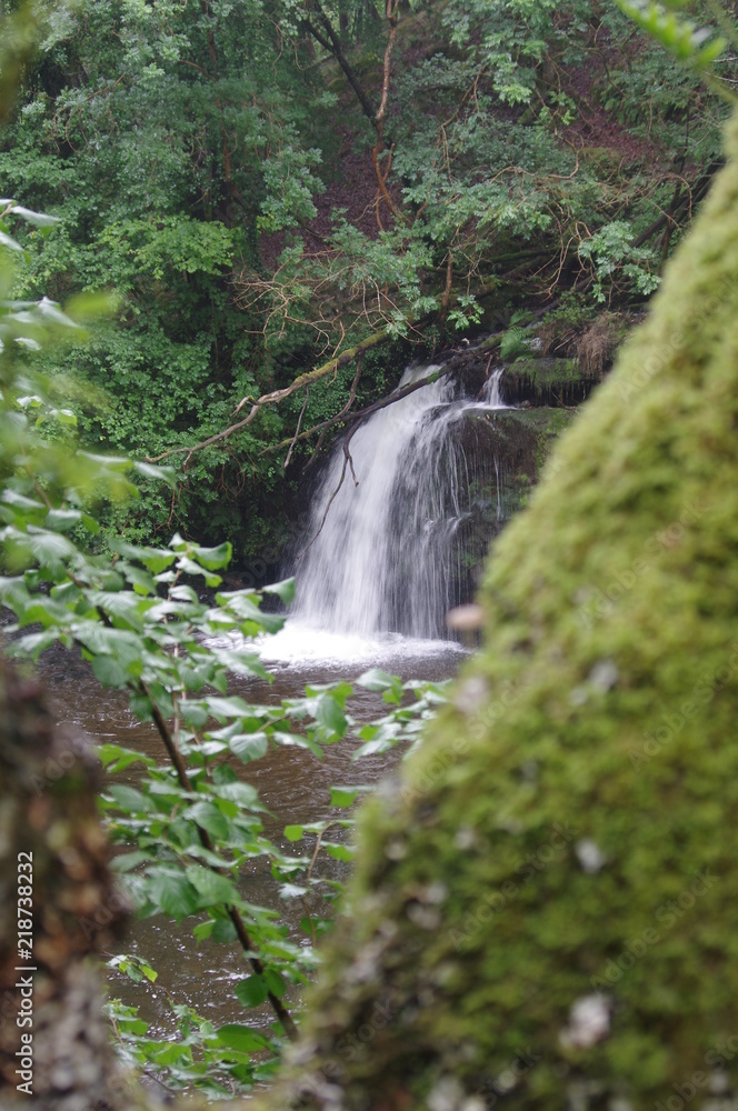 Naklejka premium brecon beacons forest waterfalls
