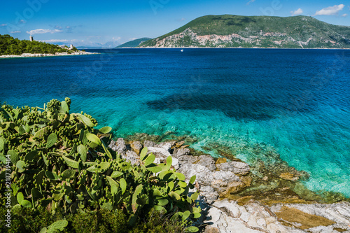 Group of cactus plants in front of crystal clear transparent blue turquoise teal Mediterranean sea. Fiskardo town, Kefalonia, Ionian islands, Greece