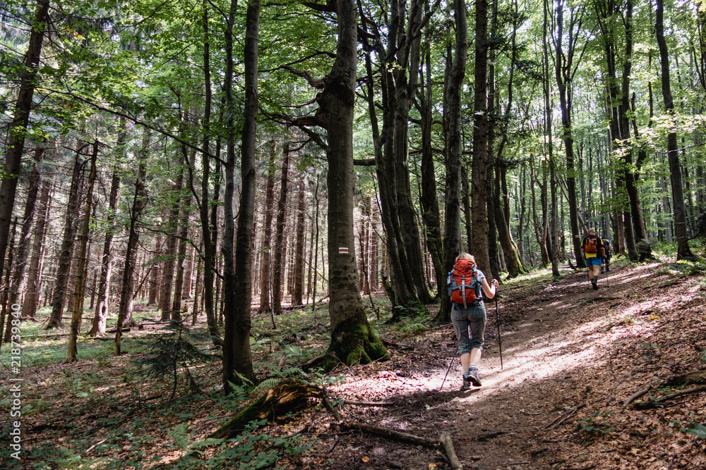 Tourist walking on the trail in mountains