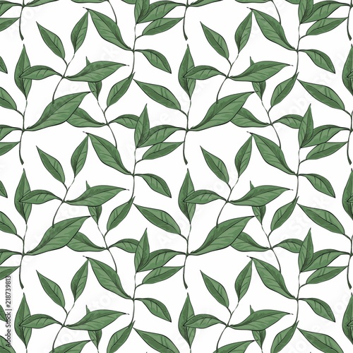 Pattern with green leaves isolated on white background. 