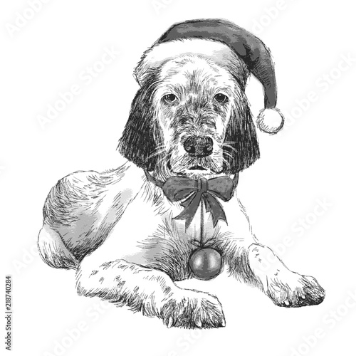 English setter with christmas hat