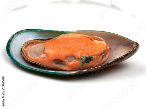 A fresh mussel with orange meat isolated on white photo