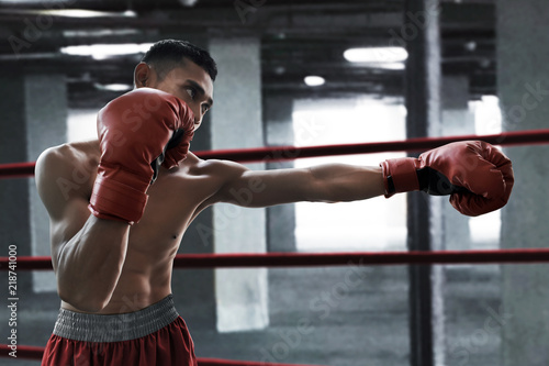 Boxer athlete training © fotokitas