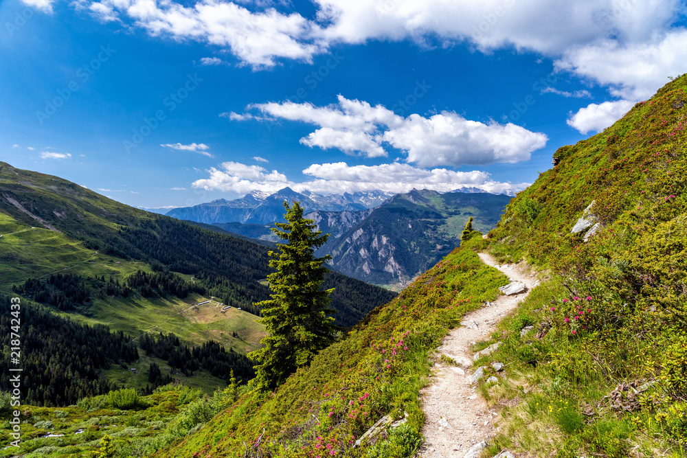Obraz premium Scenic view of beautiful landscape in Swiss Alps. Fresh green meadows and snow-capped mountain tops in the background in springtime, Switzerland.