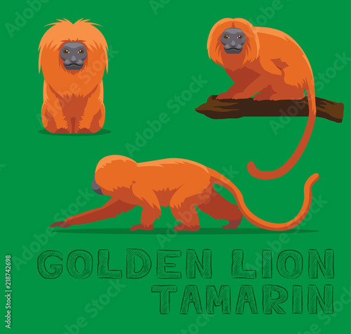 Golden Lion Tamarin Cartoon Vector Illustration
