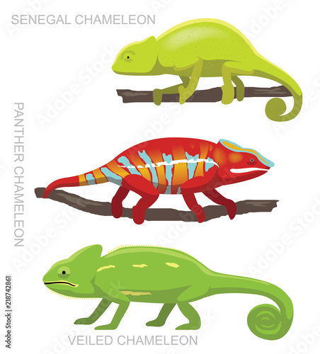 Lizard Veiled Chameleon Set Cartoon Vector Illustration