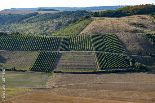 scenic view from Hindenburg point to the Nahe valley