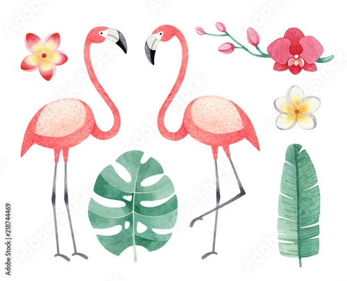 Watercolor illustrations of flamingos, tropical flowers and leaves