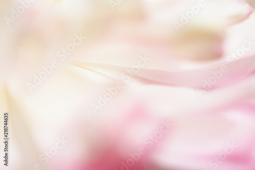 Sweet color lotus in soft style for background