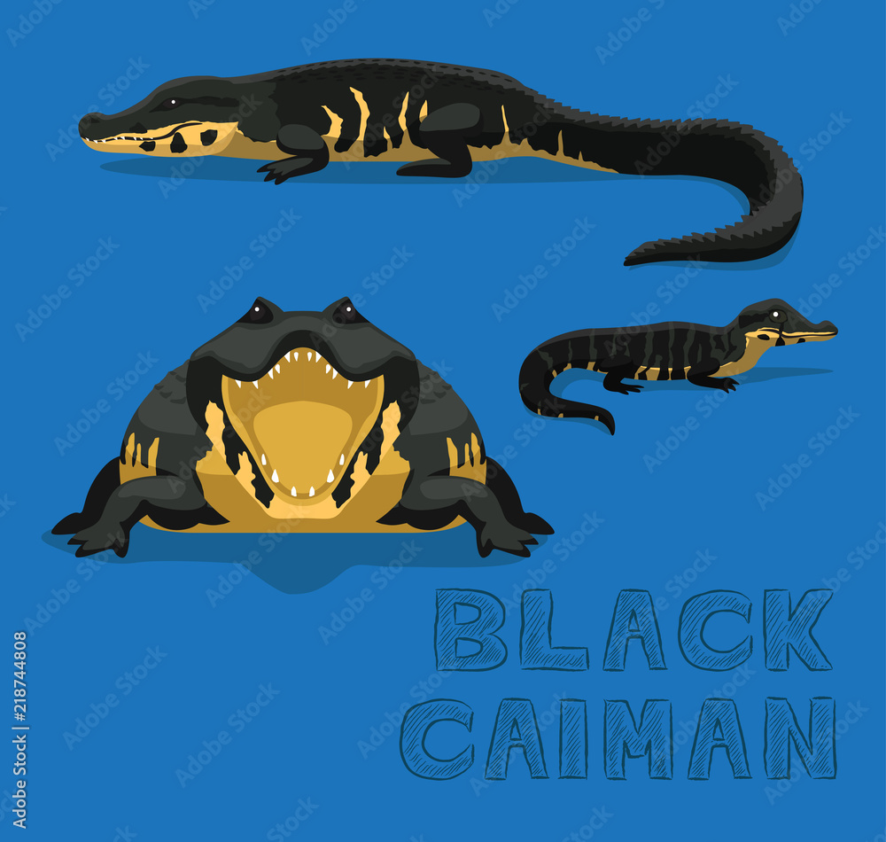 Naklejka premium Black Caiman Cartoon Vector Illustration
