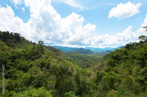 Tropical rain forest hill landscape © fotofabrika