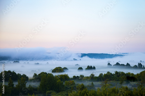 Beautiful landscape with trees in the fog © Elena Blokhina
