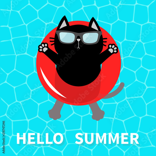 Hello Summer. Swimming pool water. Black cat floating on red pool float water circle. Top air view. Sunglasses. Lifebuoy. Cute cartoon relaxing character. Flat design.