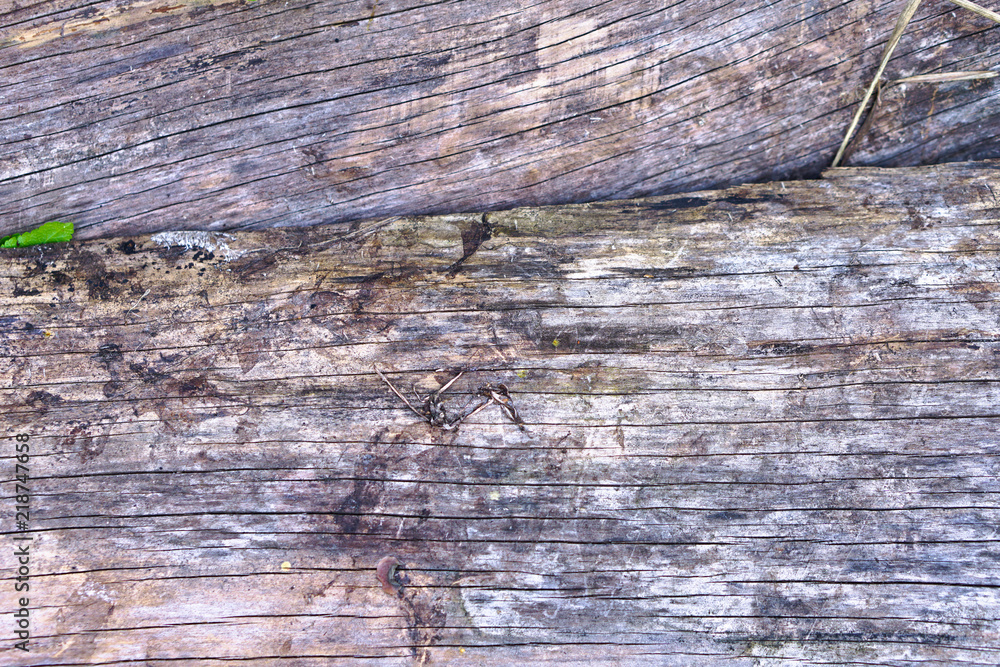 Dark old wood texture. Creative retro background. Stock Photo for design and wallpaper Dark old wood texture. Creative retro background. Stock Photo for design and wallpaper