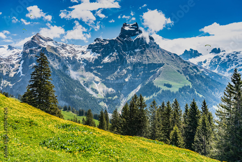 Switzerland, Engelberg Alps panoramic view 