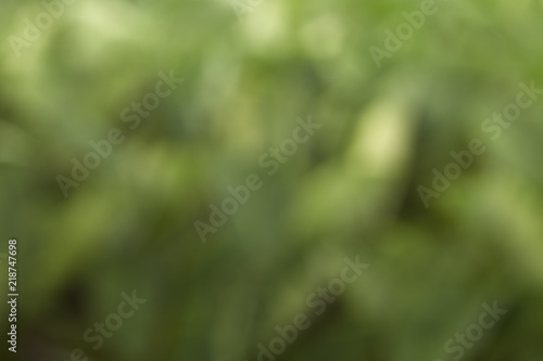 blurred green background