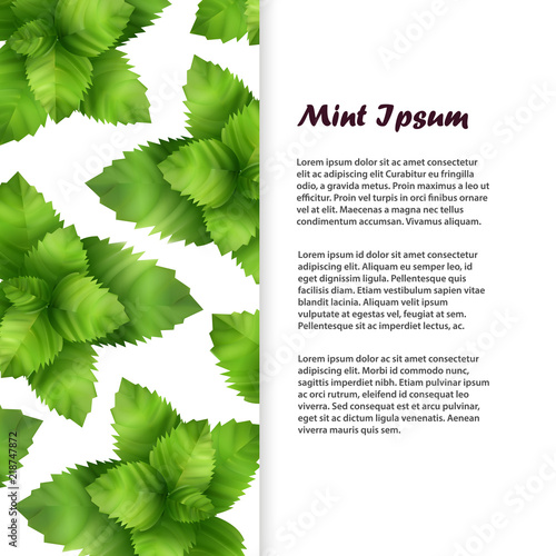Realistic fresh mint leaves banner