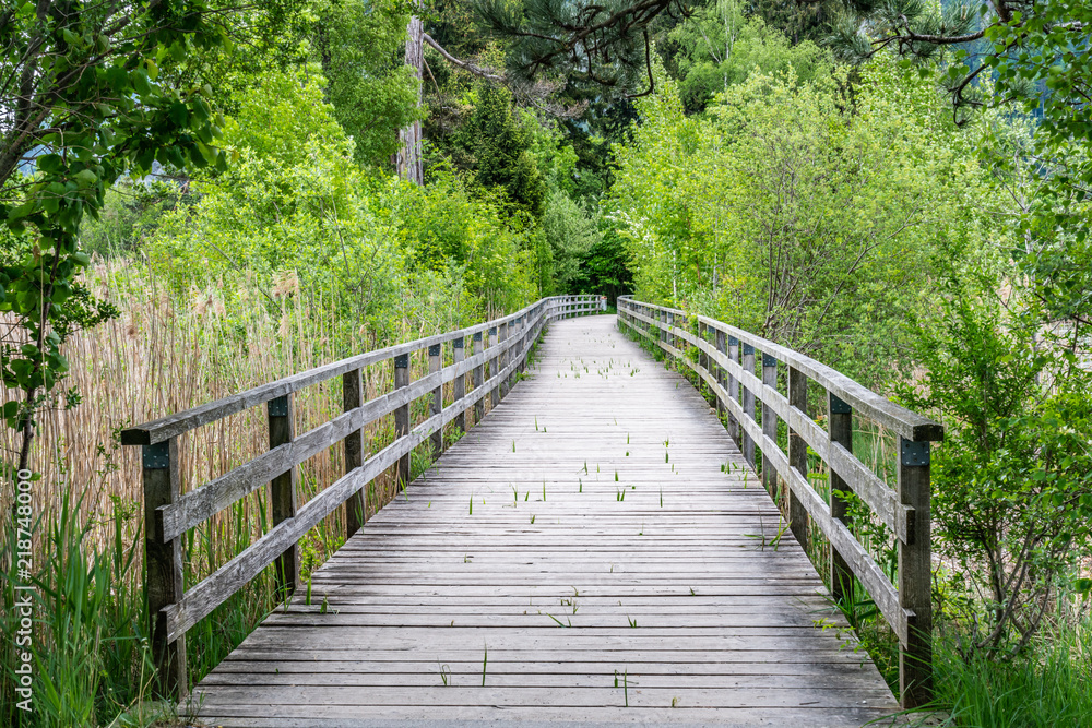 Switzerland, Interlaken wooden bridge 