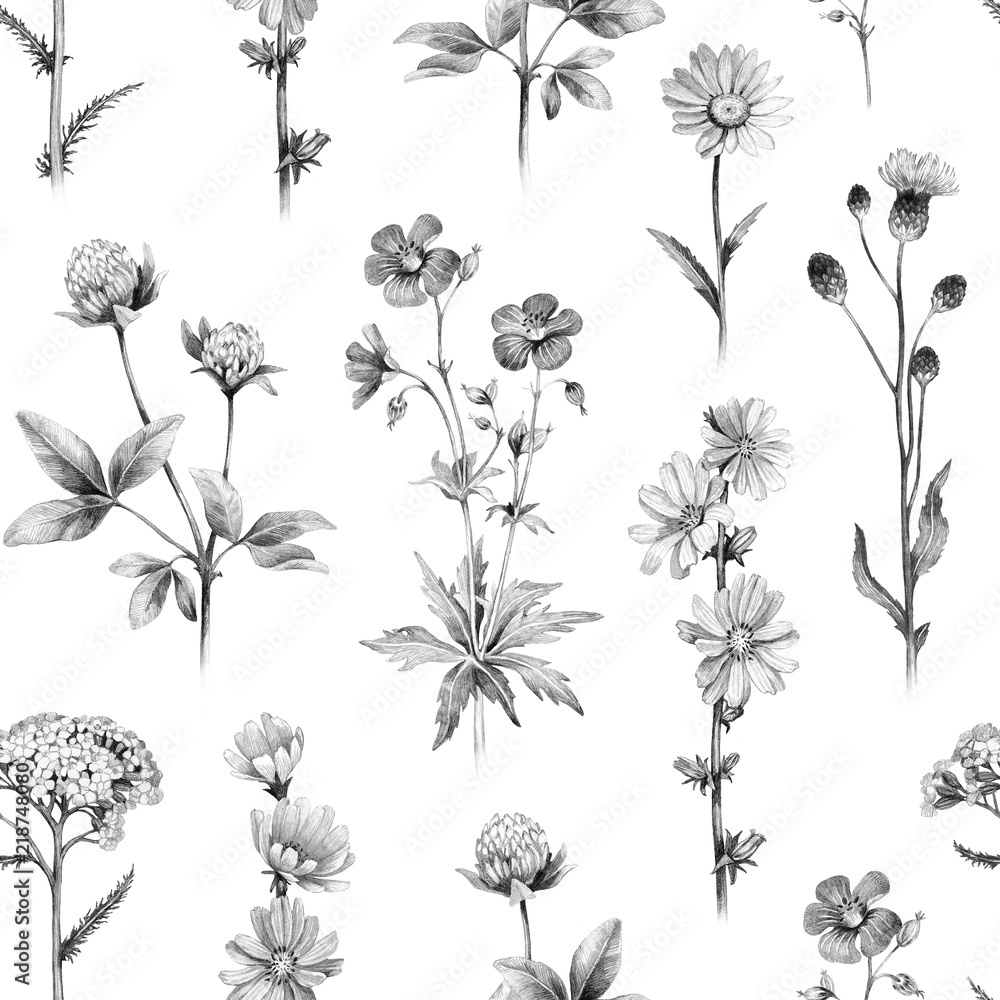 Pencil drawings of wild flowers. Seamless pattern