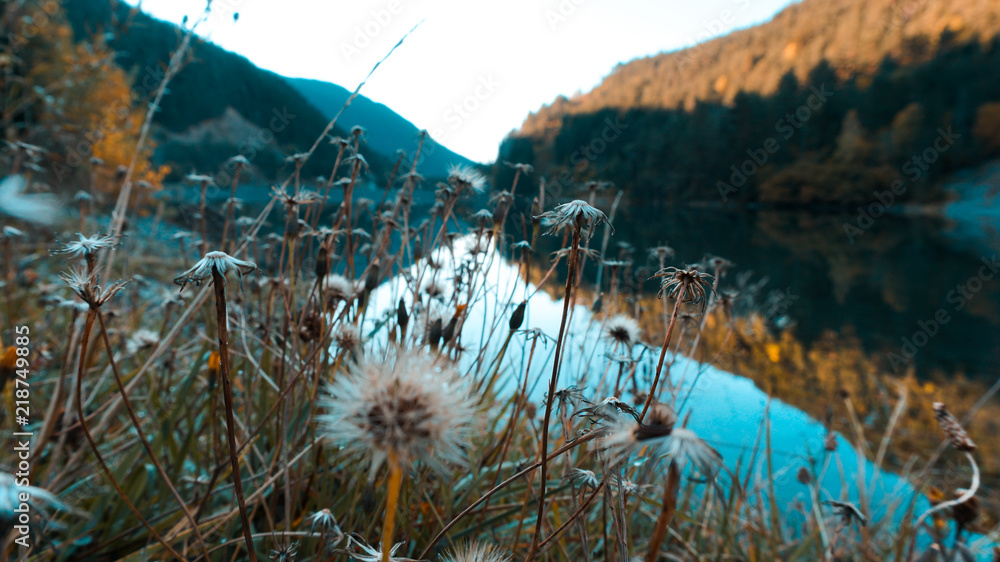 Lago