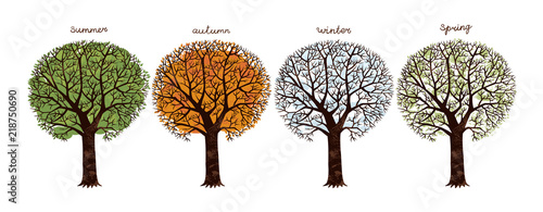 For seasons/Figure four trees. They illustrate the seasons. Summer, autumn, winter and spring.