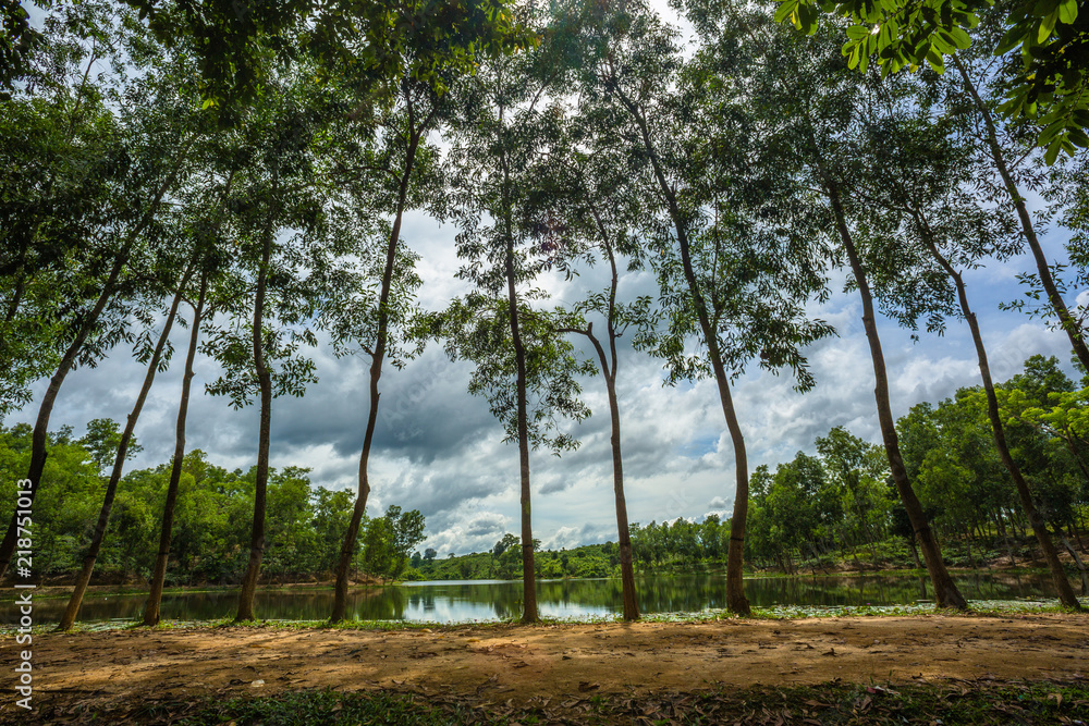 Fototapeta premium Lake