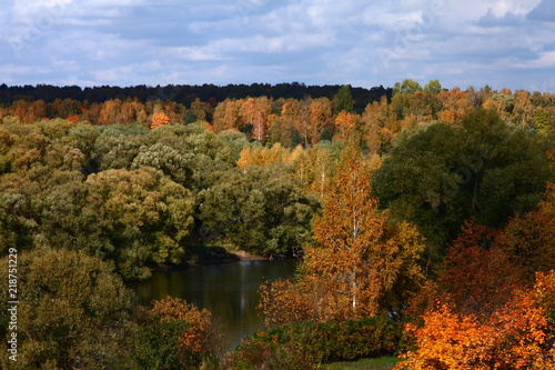 Осенний лес © Андрей Акулов