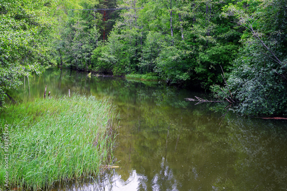Small beautiful river with lush bushes and trees along the shore. Small beautiful river with lush bushes and trees along the shore.