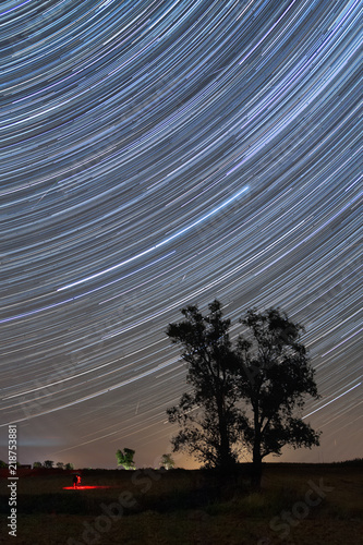 Startrails over lonely tree and Perseid meteor shower