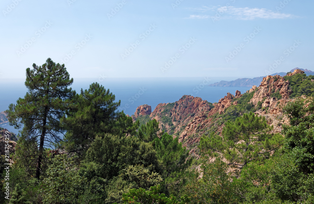 Gulf of Porto in the Regional Natural Park of Corsica Gulf of Porto in the Regional Natural Park of Corsica