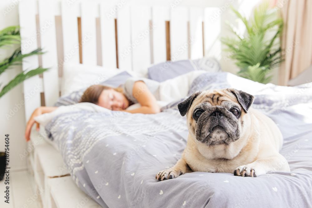 Young woman with her dog in a bed. Breakfast in bed Young woman with her dog in a bed. Breakfast in bed