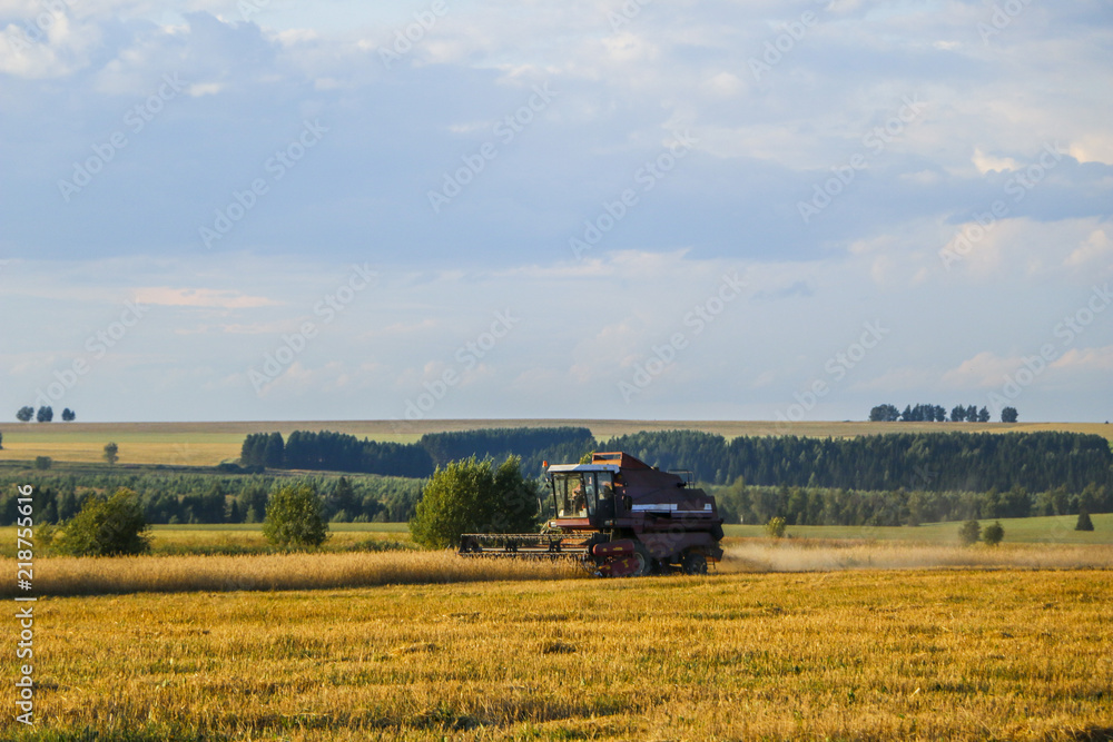 Fototapeta premium Combine harvester. old combine harvester working on the wheat field Kombain collects on the wheat crop. Agricultural machinery in the field.