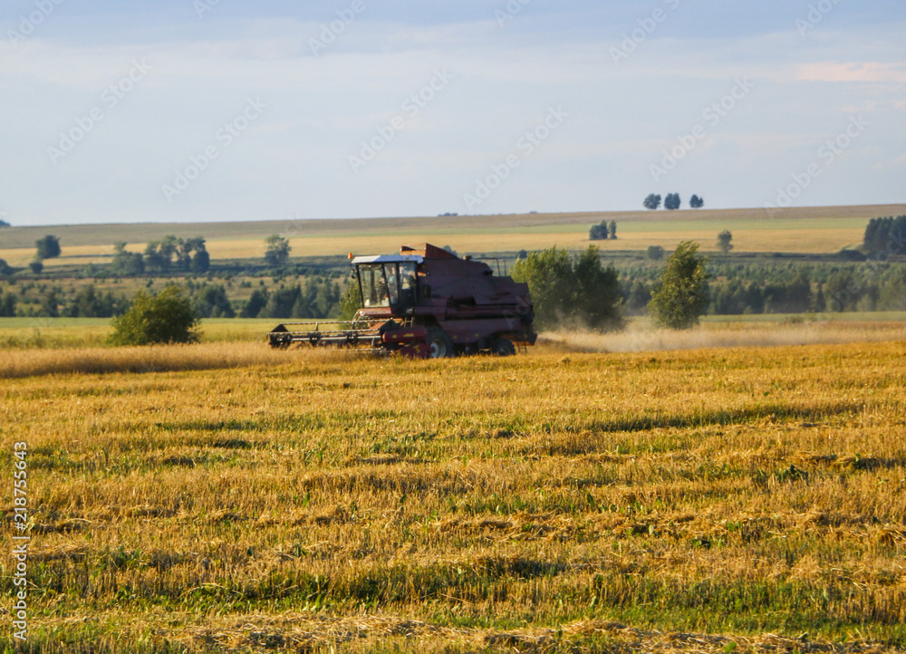 Fototapeta premium Combine harvester. old combine harvester working on the wheat field Kombain collects on the wheat crop. Agricultural machinery in the field.