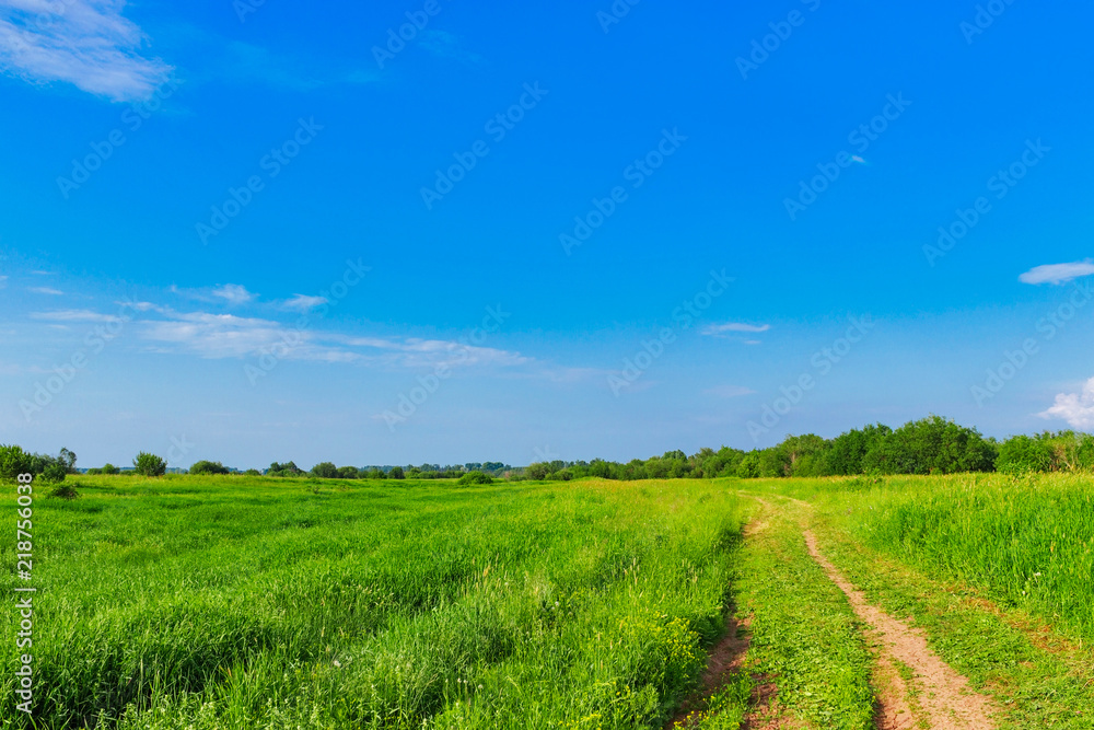 dirt road in the field on a summer day