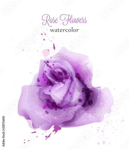 Watercolor violet rose isolated Vector card. Wedding invitation or save the d...