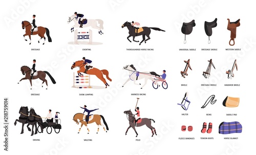 Fototapeta Naklejka Na Ścianę i Meble -  Collection of various horse gaits and tools for horseback riding or equestrianism isolated on white background. Beautiful competitive sport. Colorful vector illustration in flat cartoon style.