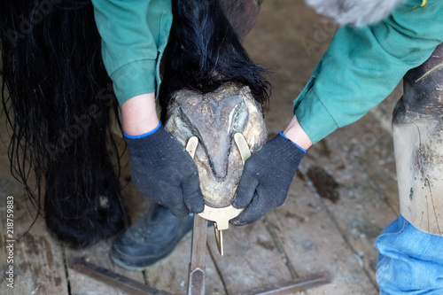 The blacksmith cleans the hooves of the horse with special tools. Close-up. © skorovik