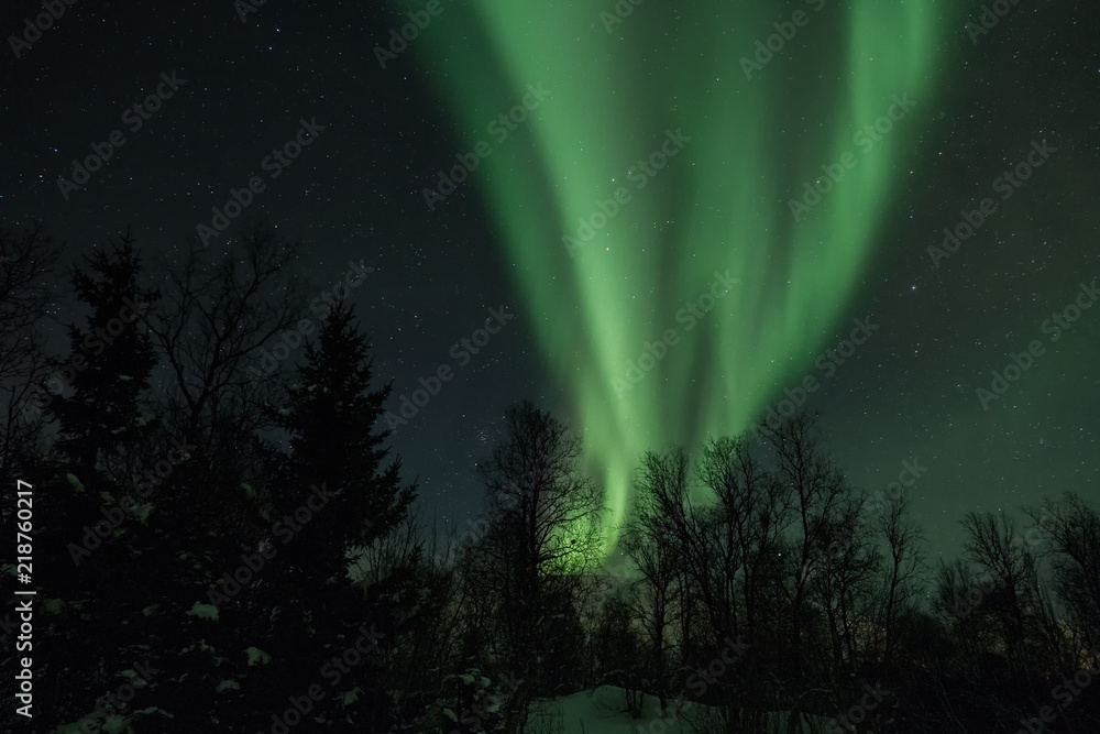 Ταπετσαρία Landscape with northern lights over the forest in winter.