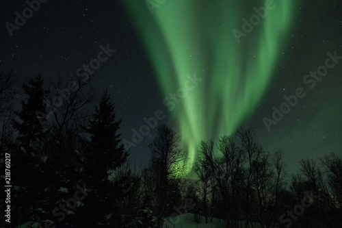Landscape with northern lights over the forest in winter.