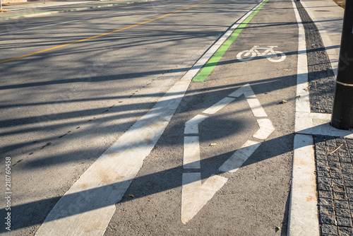 Photography Symbols on Asphalt of a Bicycle Lane along an Empty Street in Downtown Toronto